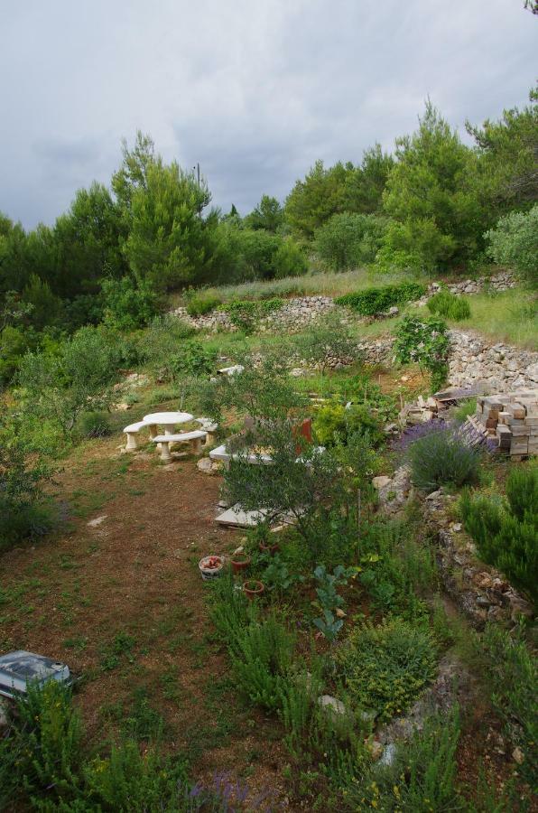 Milica Garden Apartment Prvic Sepurine Exterior photo